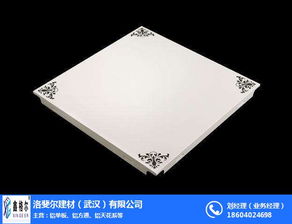 铝单板安装 洛斐尔建材武汉公司 贵州铝单板